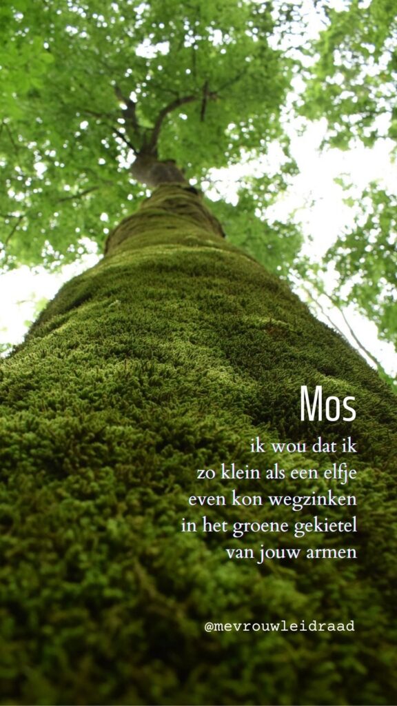 mos 14 sept 2024